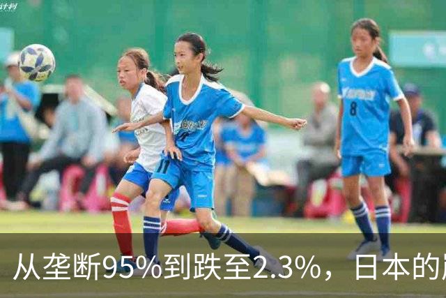 从垄断95%到跌至2.3%，日本的崩溃循环，中国亲手按下终止键