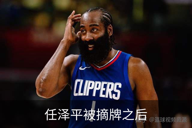 任泽平被摘牌之后