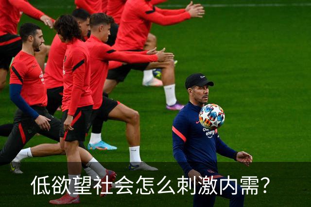 低欲望社会怎么刺激内需？