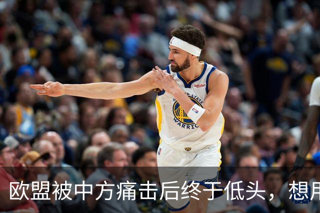欧盟被中方痛击后终于低头，想用一换一来救阿斯麦供应商