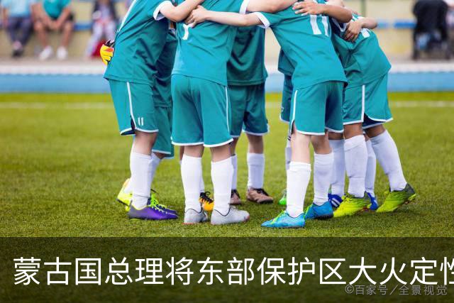 蒙古国总理将东部保护区大火定性为严重生态事件 蒙方将彻查追责